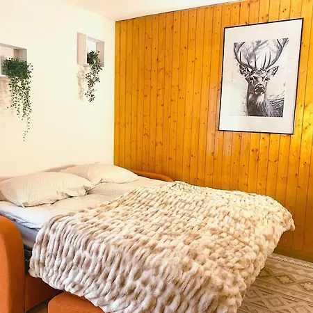 Central Apartment *