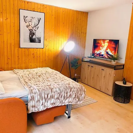 Central Apartment